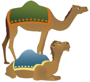camel singular noun to plural noun
